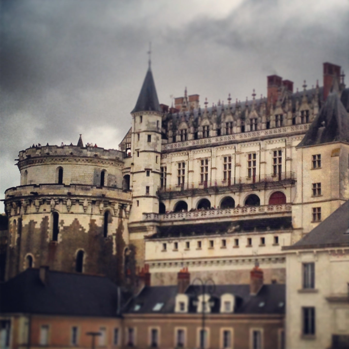 
Château d'Amboise
 in Amboise