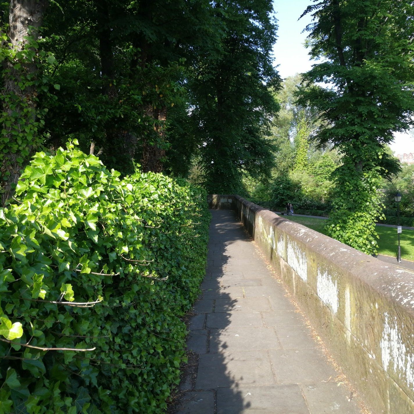 
Chester Walls
 in Chester