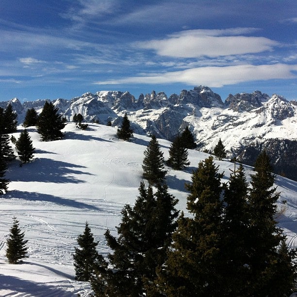 
Cima Paganella
 in Andalo