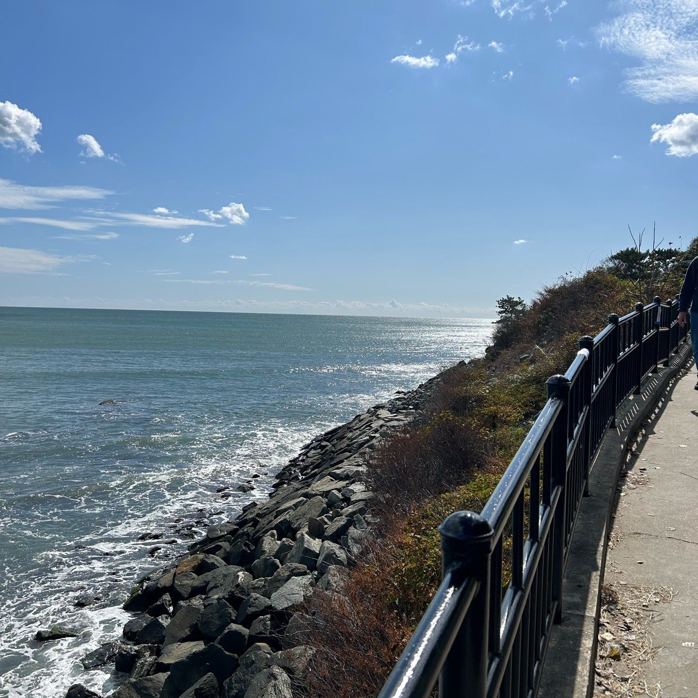 
Cliff Walk
 in Newport