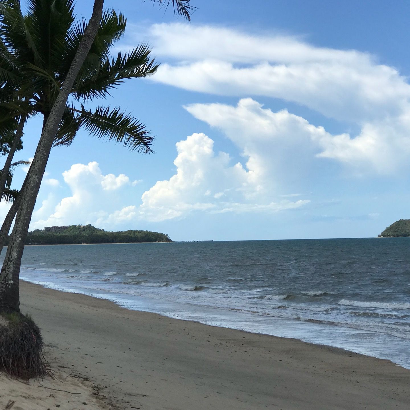 
Clifton Beach
 in Palm Cove