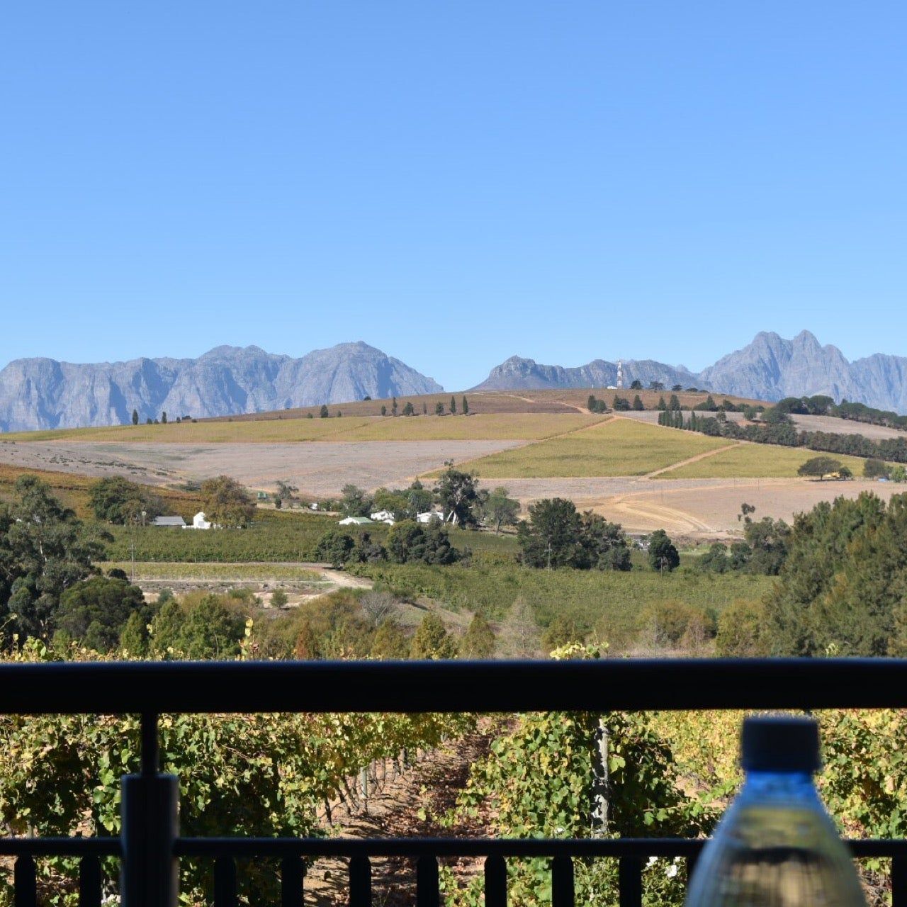 
Clos Malverne
 in Stellenbosch