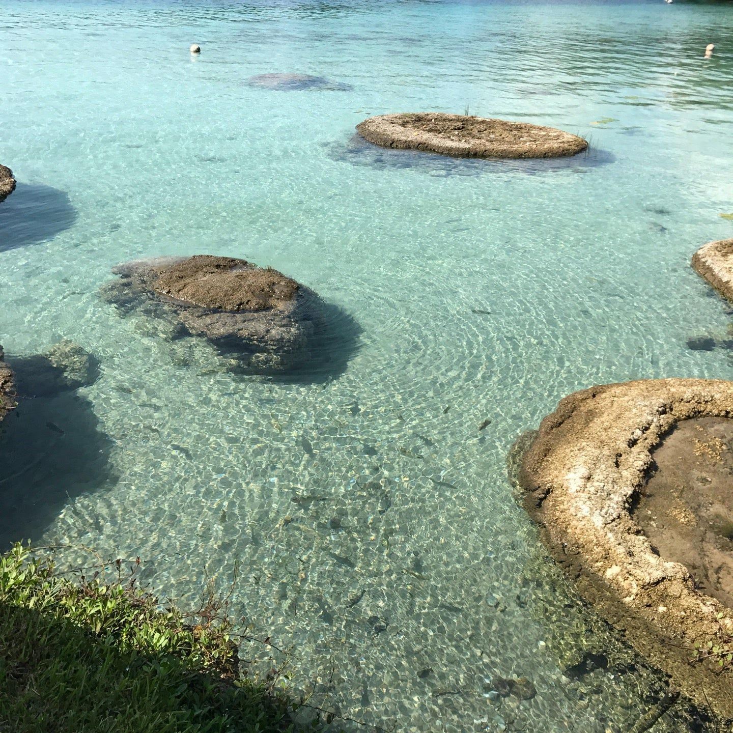 
Cocalitos
 in Bacalar