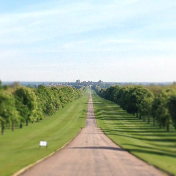 
Copper Horse (King George III)
 in Berkshire