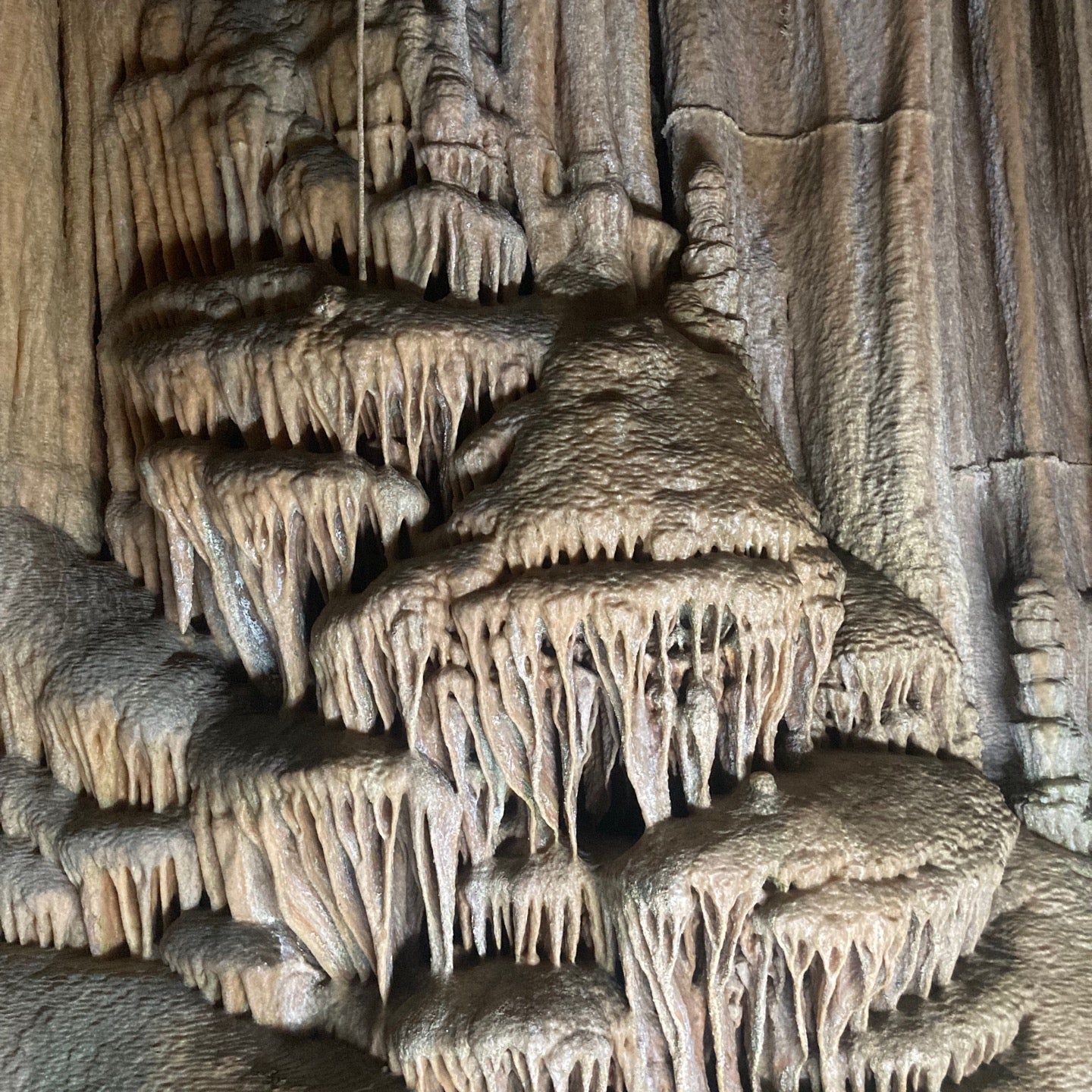 
Coves de Campanet
 in Mallorca