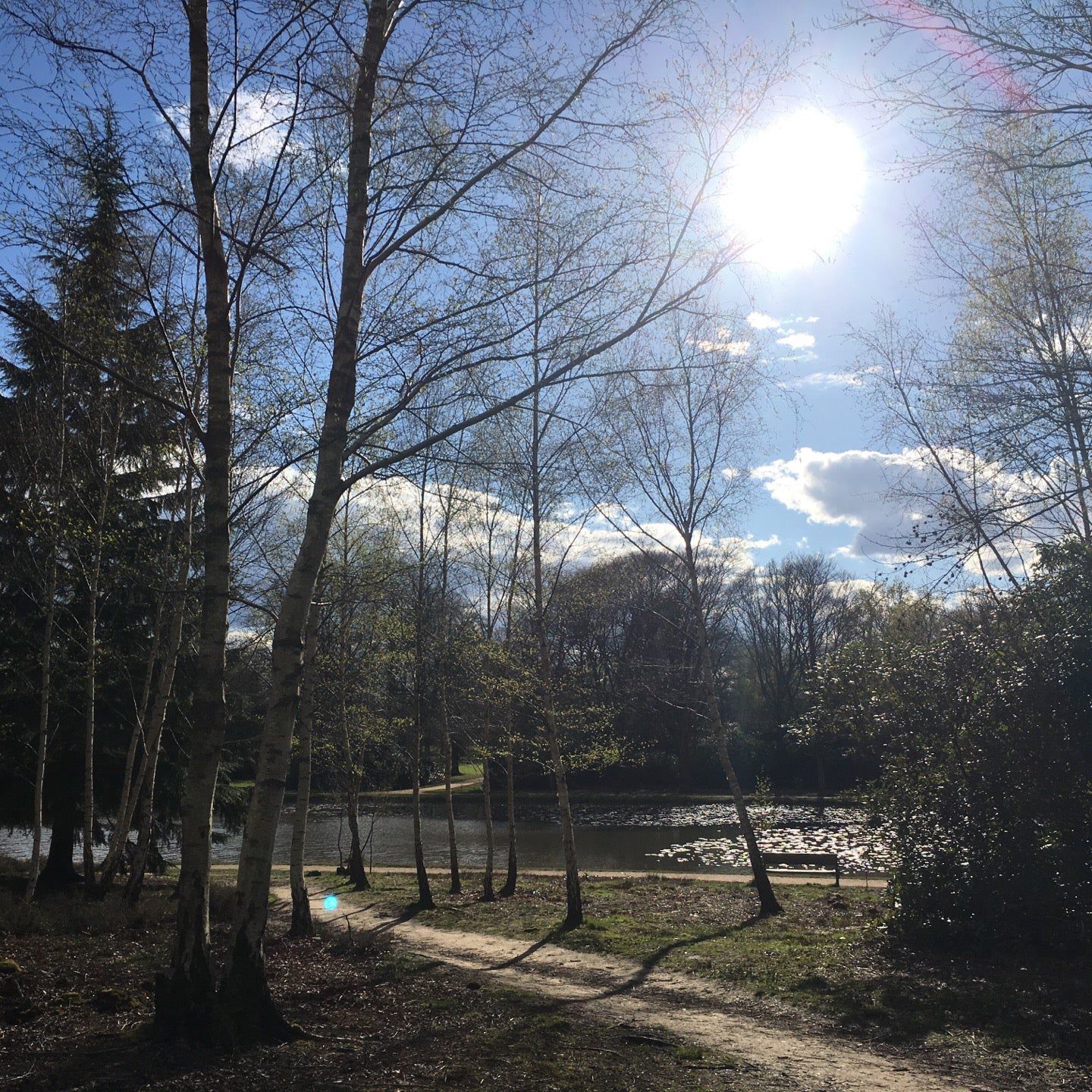 
Cow Pond
 in Berkshire