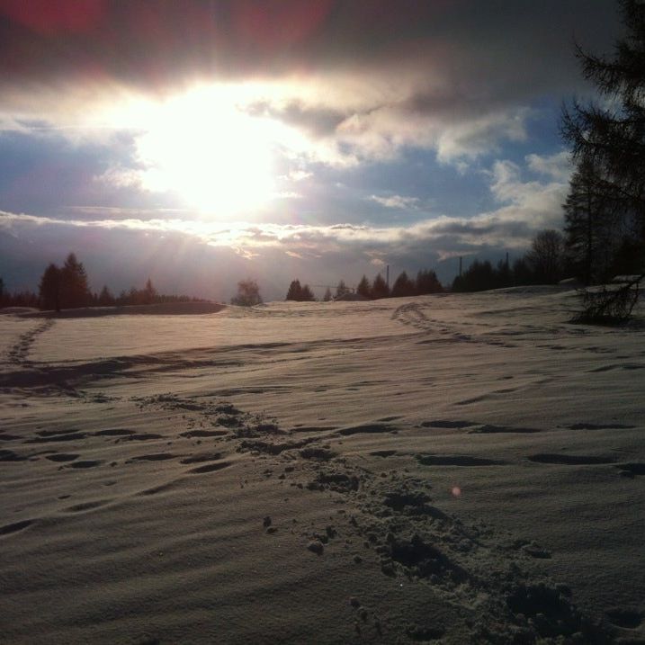 
Crans-Montana
 in The Alps