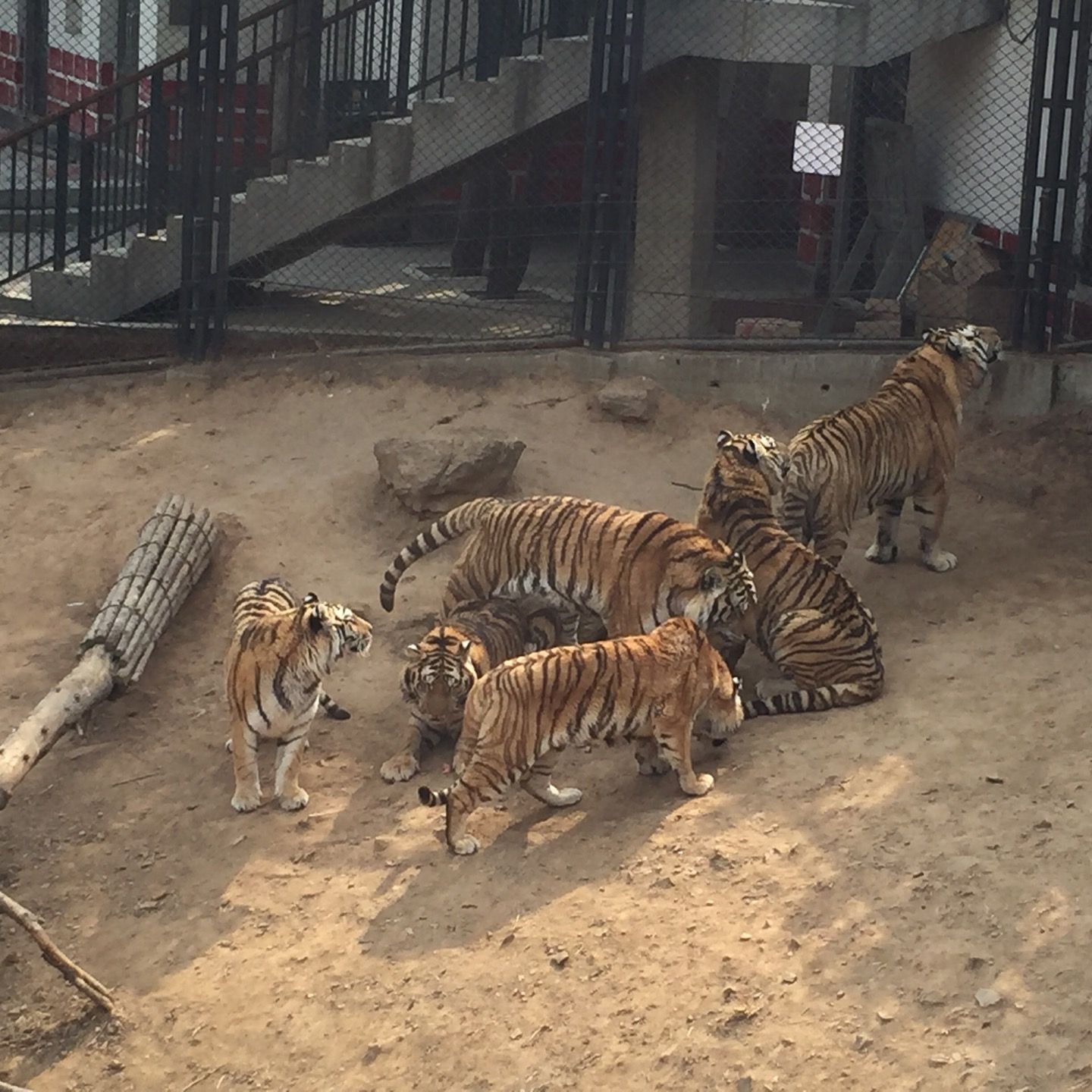 
大连森林动物园 Dalian Forest Zoo
 in Liaoning