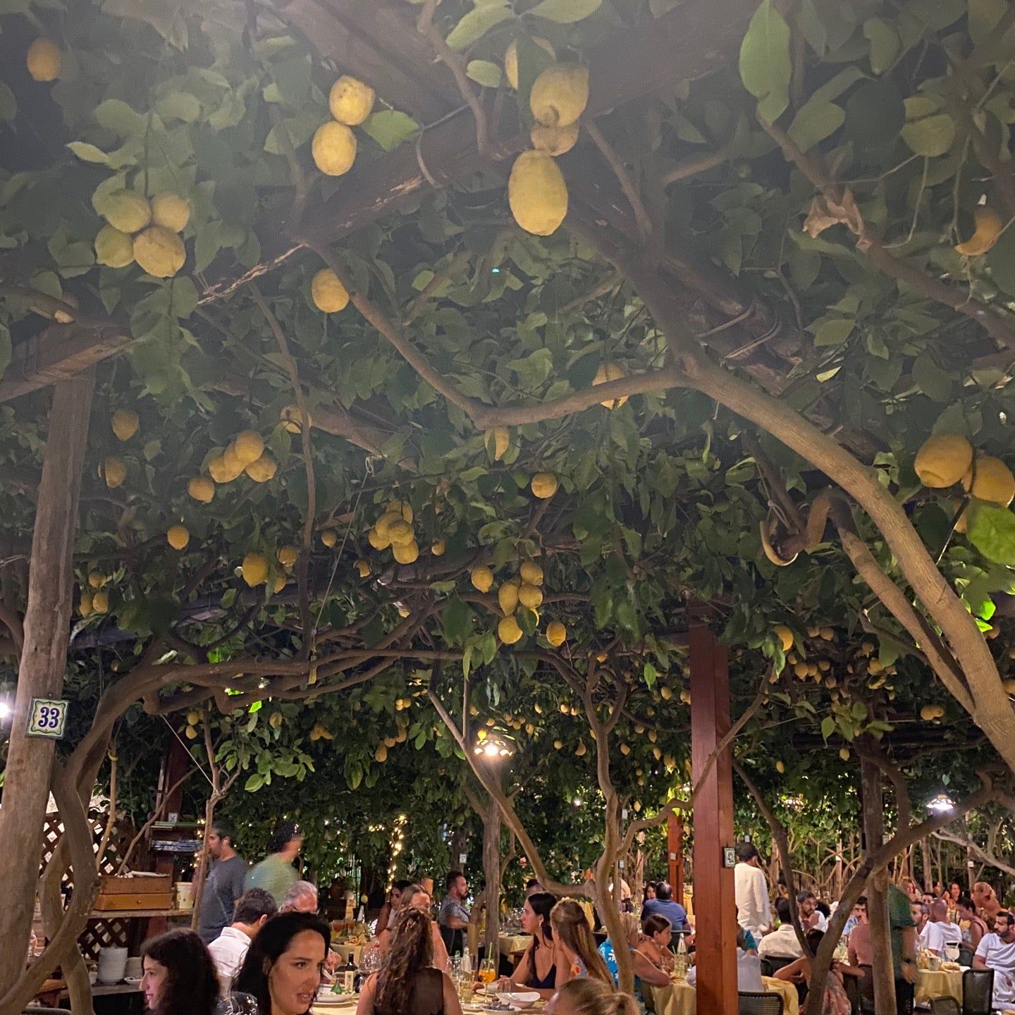 
Da Paolino
 in Capri Island