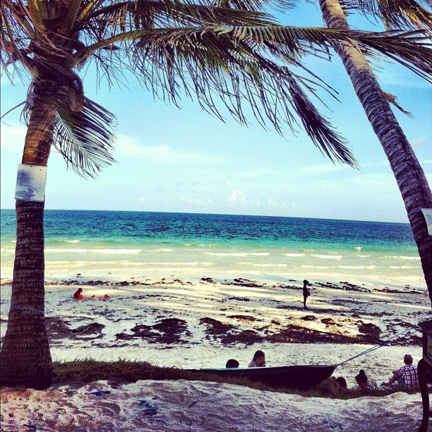 
Diani Beach
 in Diani Beach