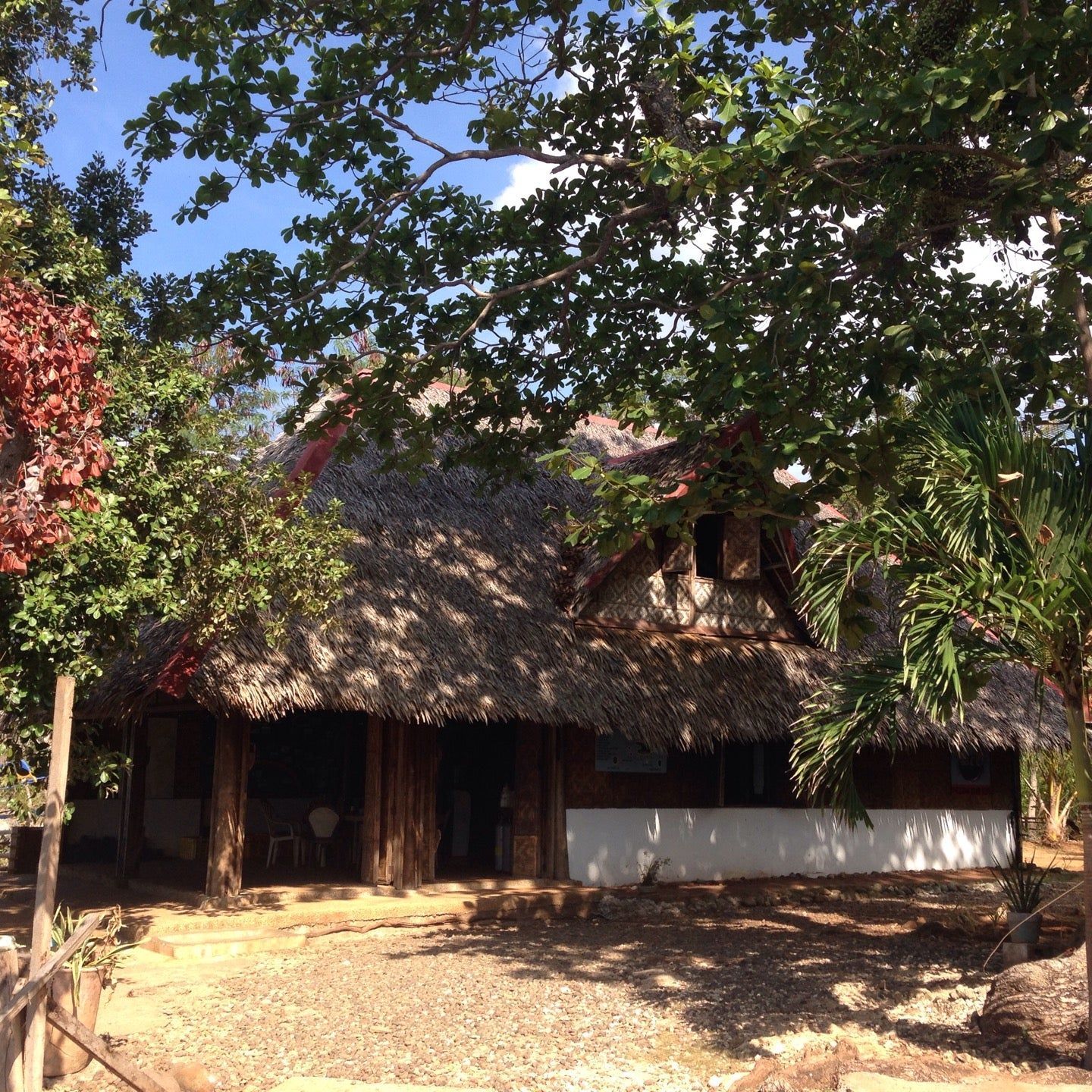 
Diver's Community Club
 in Bohol