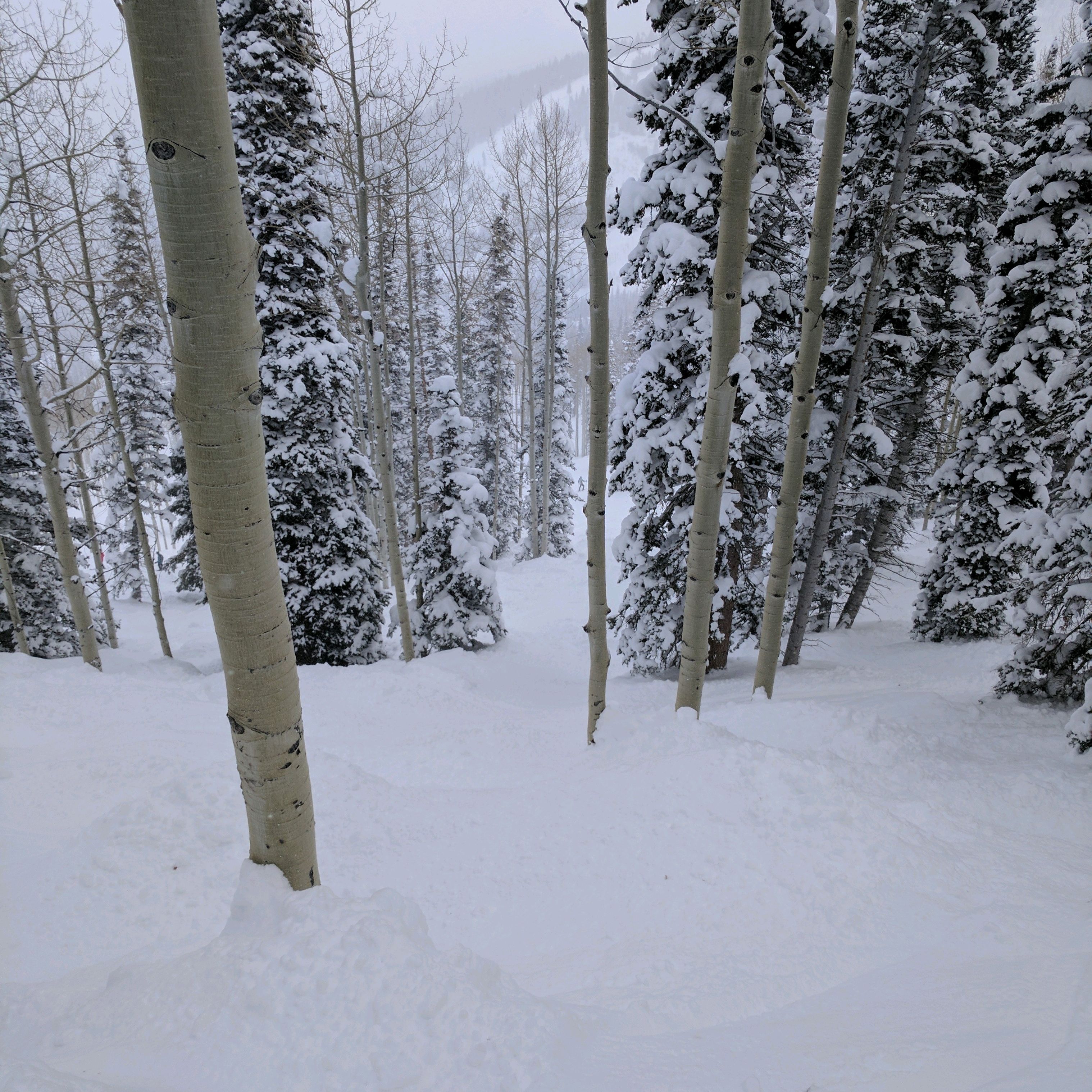 
Dreamcatcher Lift, The Canyons
 in Park City