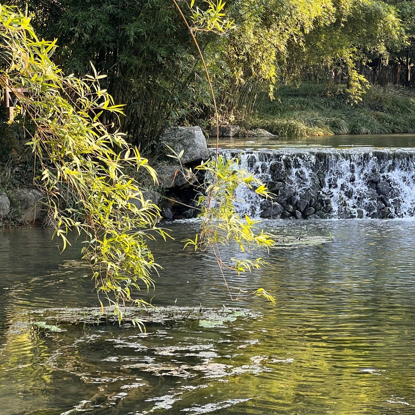 
Dreaming of the Tiger Spring (虎跑梦泉)
 in Hangzhou