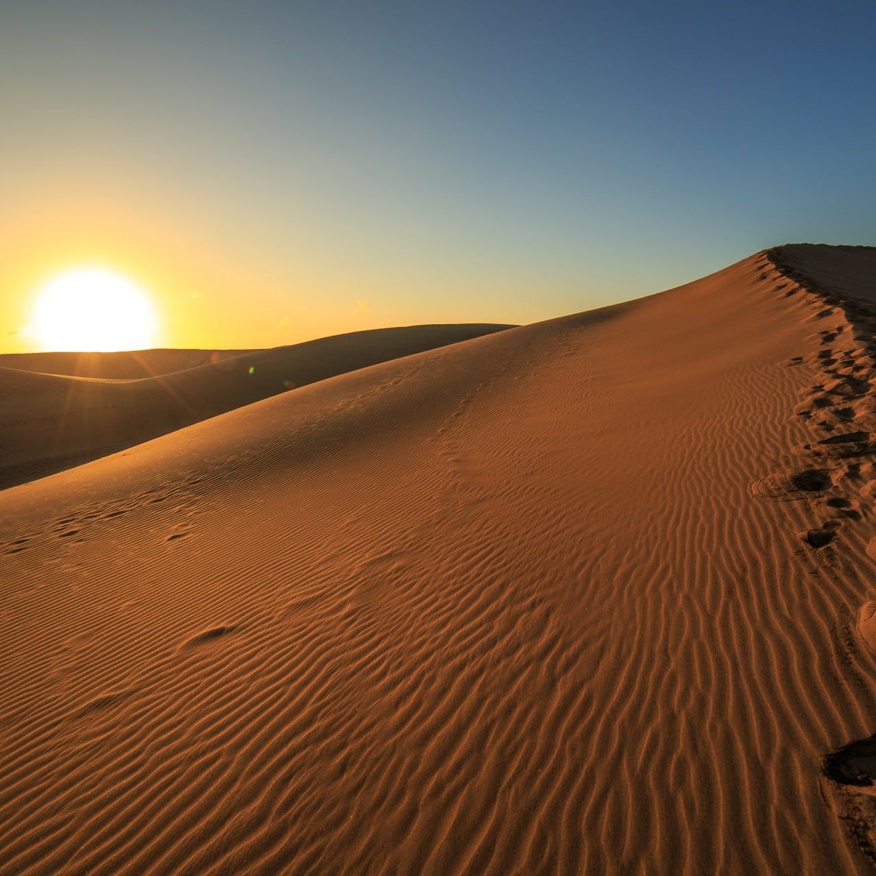 
Dunas de Maspalomas
 in Maspalomas