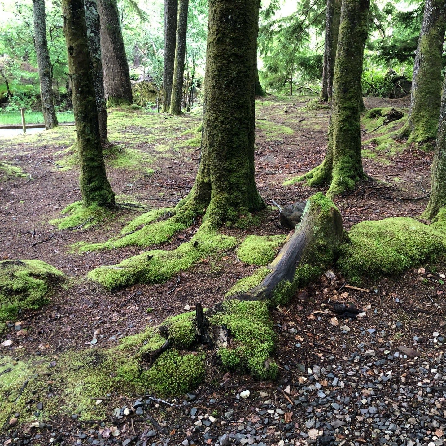 
Dunvegan Castle & Gardens
 in Highlands