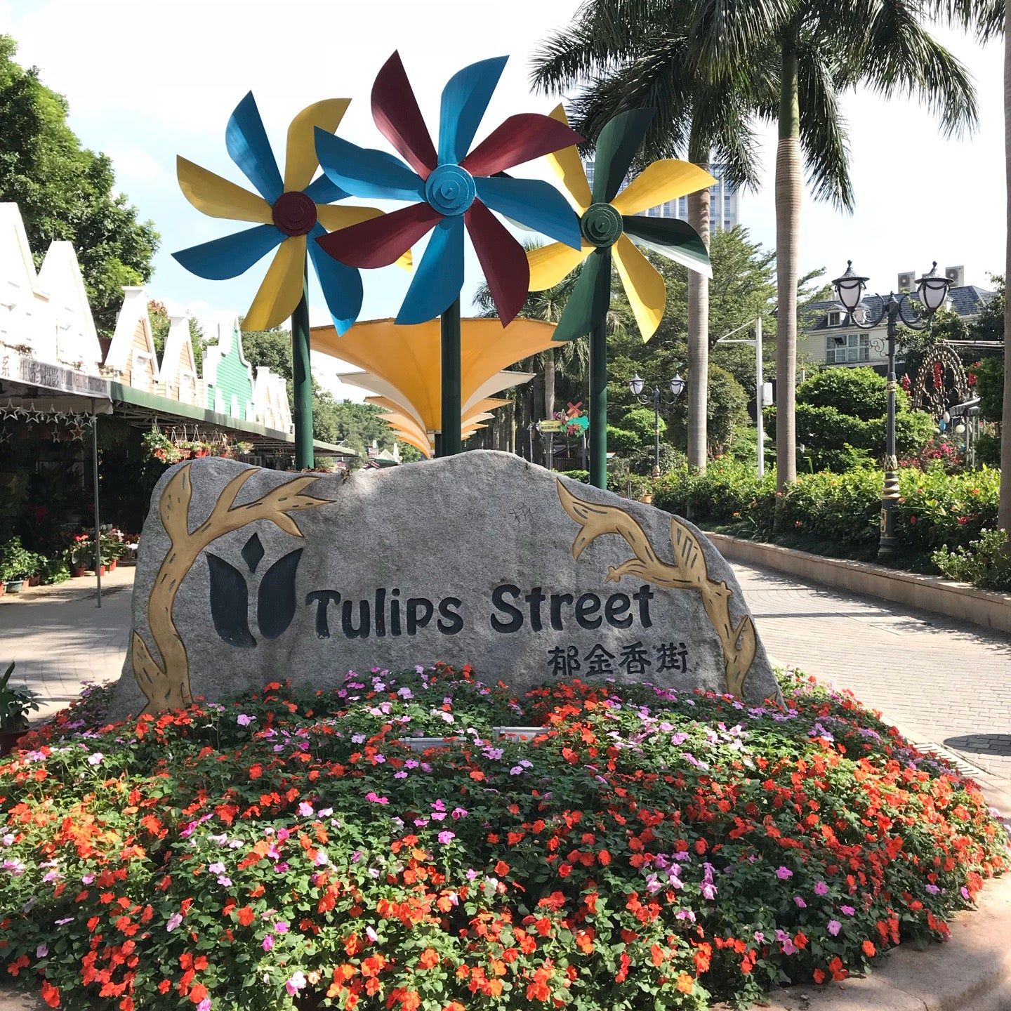 
Dutch Flower Town (荷兰花卉小镇)
 in Guangdong