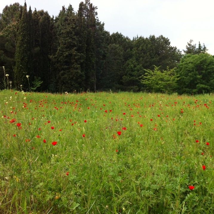 
Eco Park
 in Saints Constantine And Helena