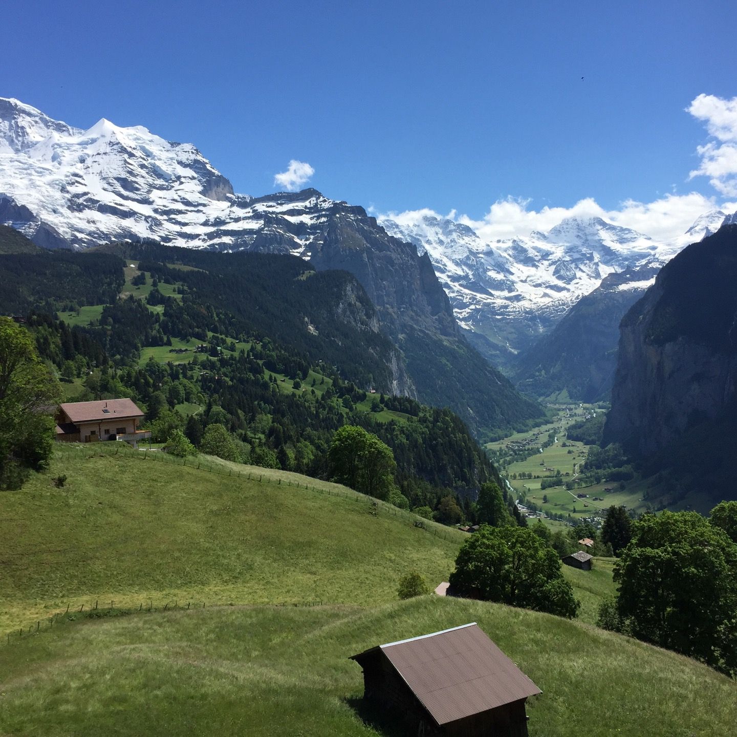 
Eiger Restaurant
 in Wengen