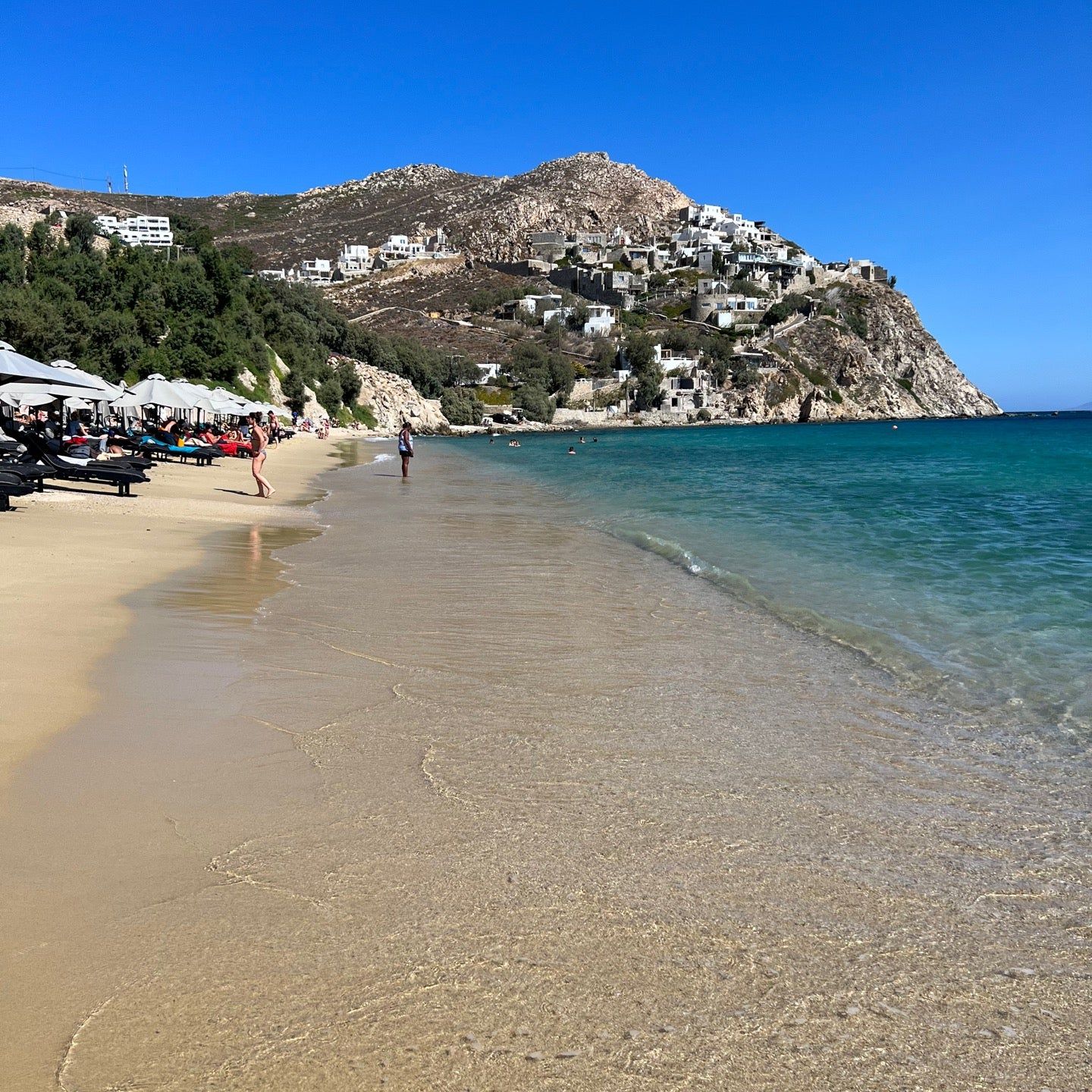 
Elia Beach (Ελιά)
 in Mykonos