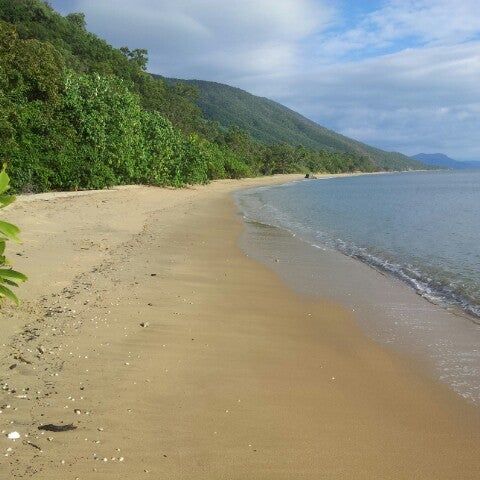 
Ellis Beach
 in Palm Cove