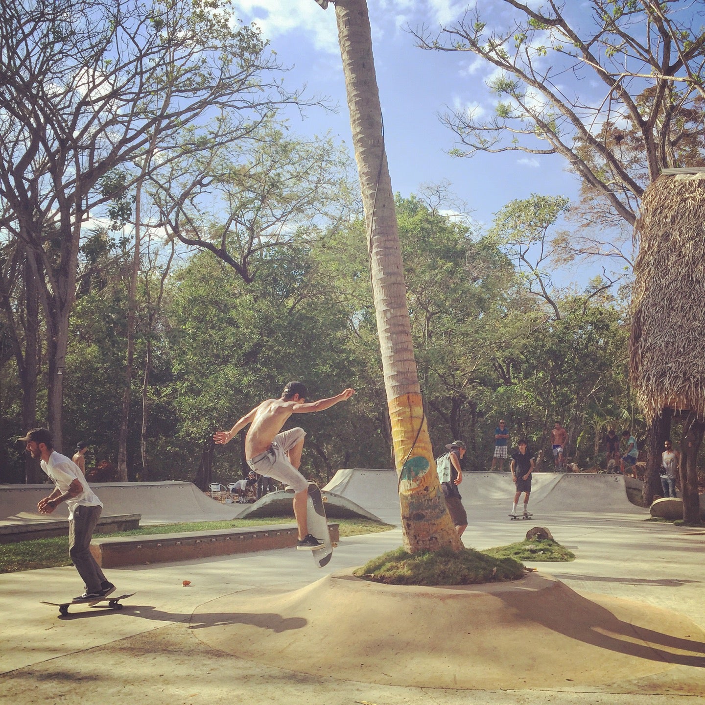 
Eskina Skatepark
 in Nosara