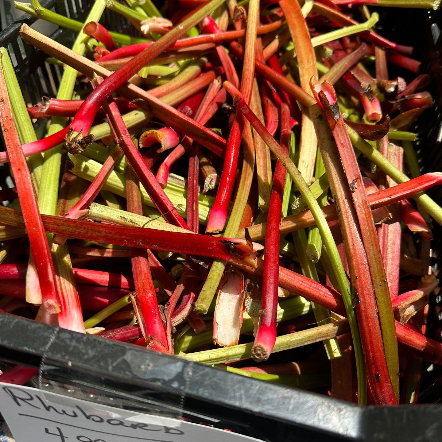 
Farmers Market: Deering Oaks
 in Portland