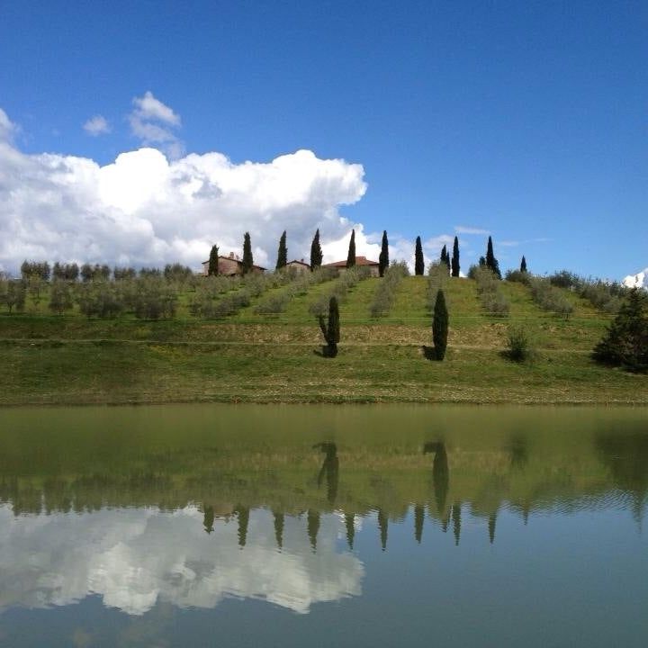 
Fattoria Voltrona
 in Val D'Elsa