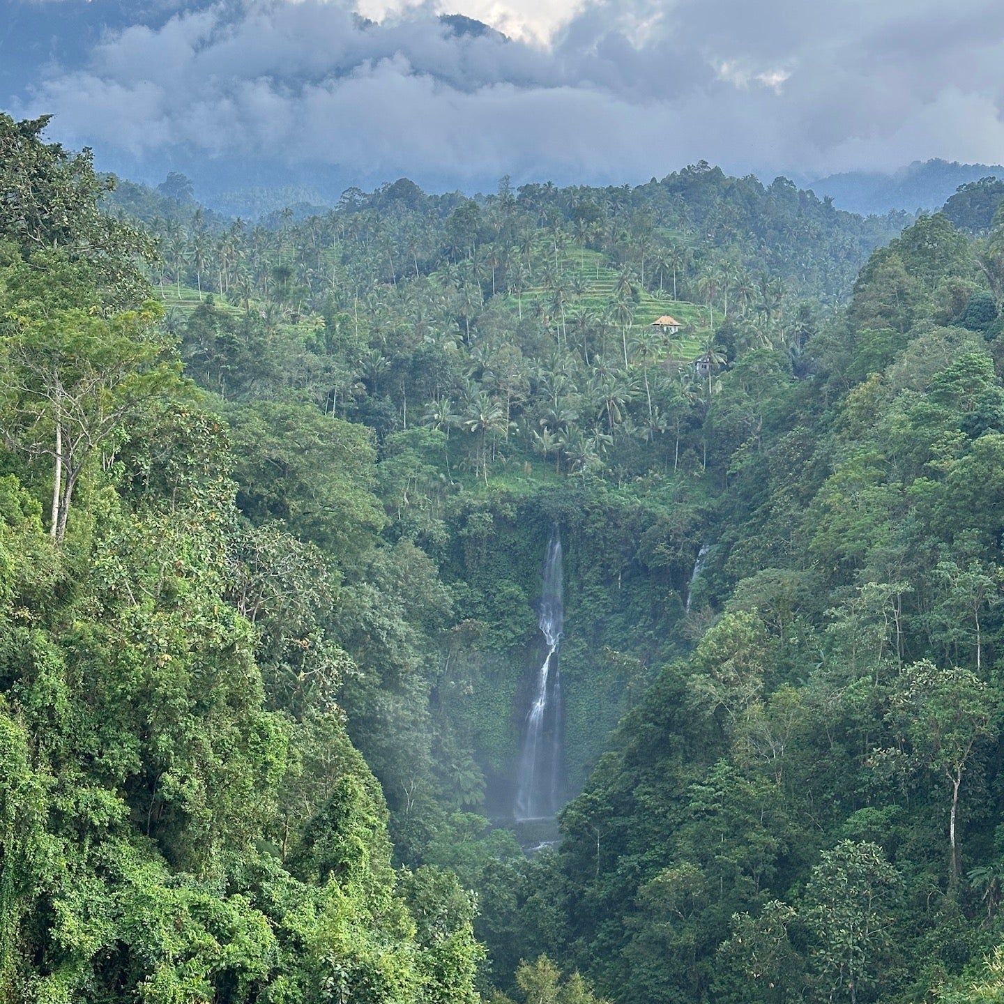 
Fiji Waterfall
 in Buleleng