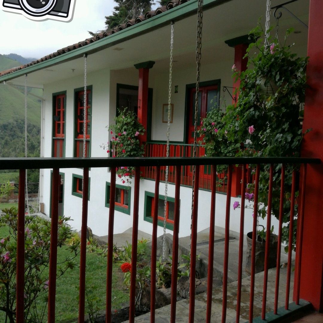 
Finca El Cairo
 in Quindio