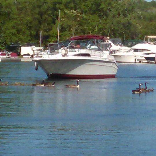 
Finger Lakes Marina
 in Finger Lakes