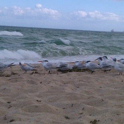 
Fort Lauderdale Beach
 in Fort Lauderdale