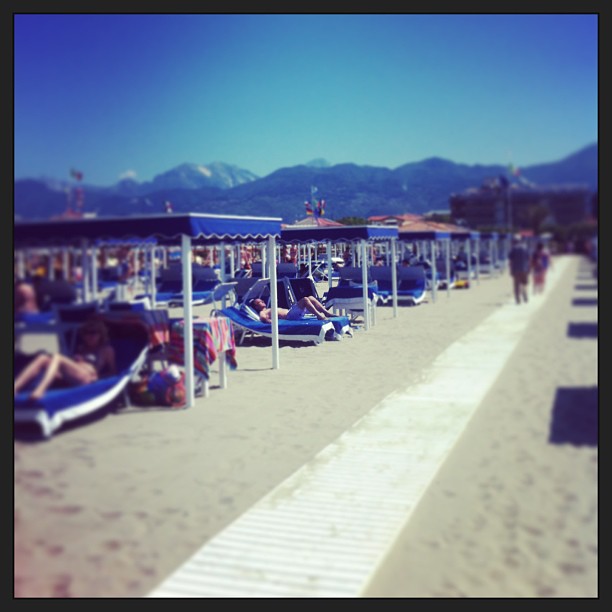 
Forte Dei Marmi
 in Forte Dei Marmi