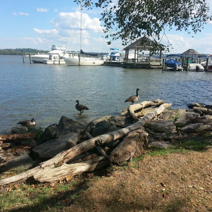 
Founders Park
 in Virginia