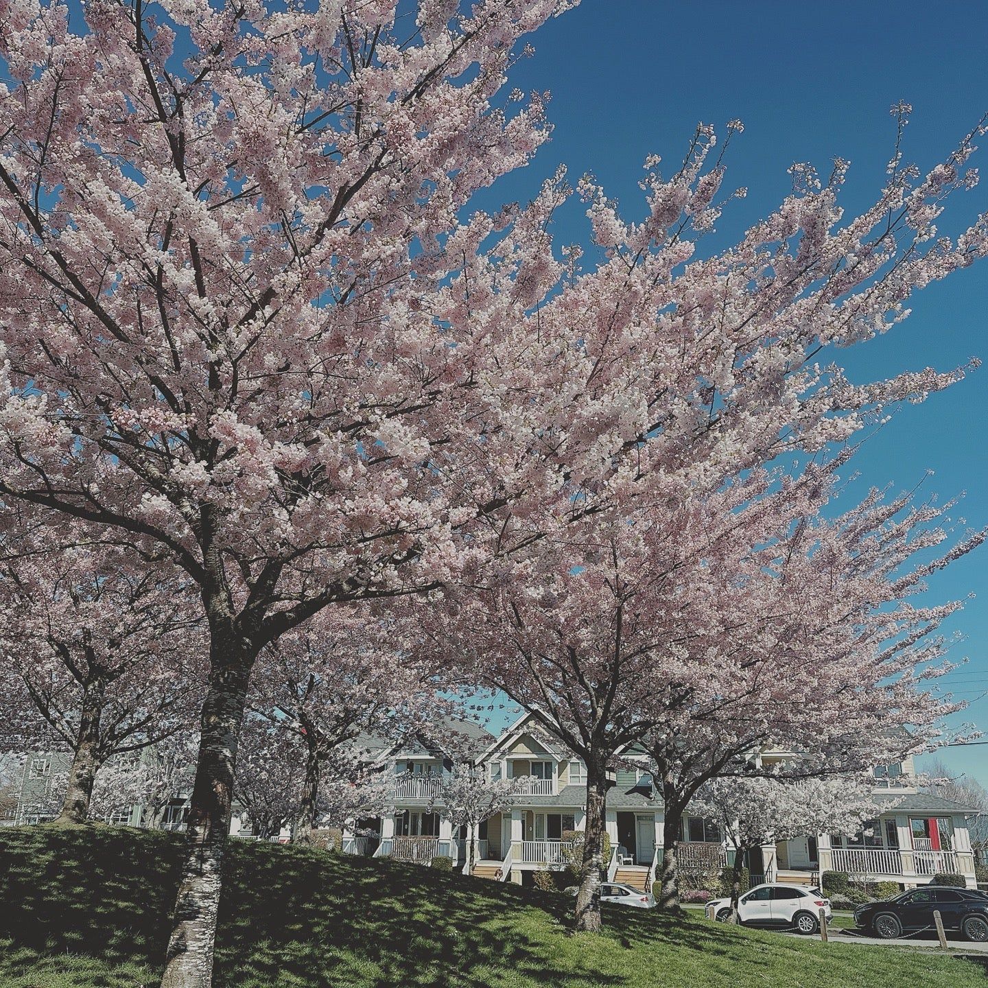 
Garry Point Park
 in Richmond