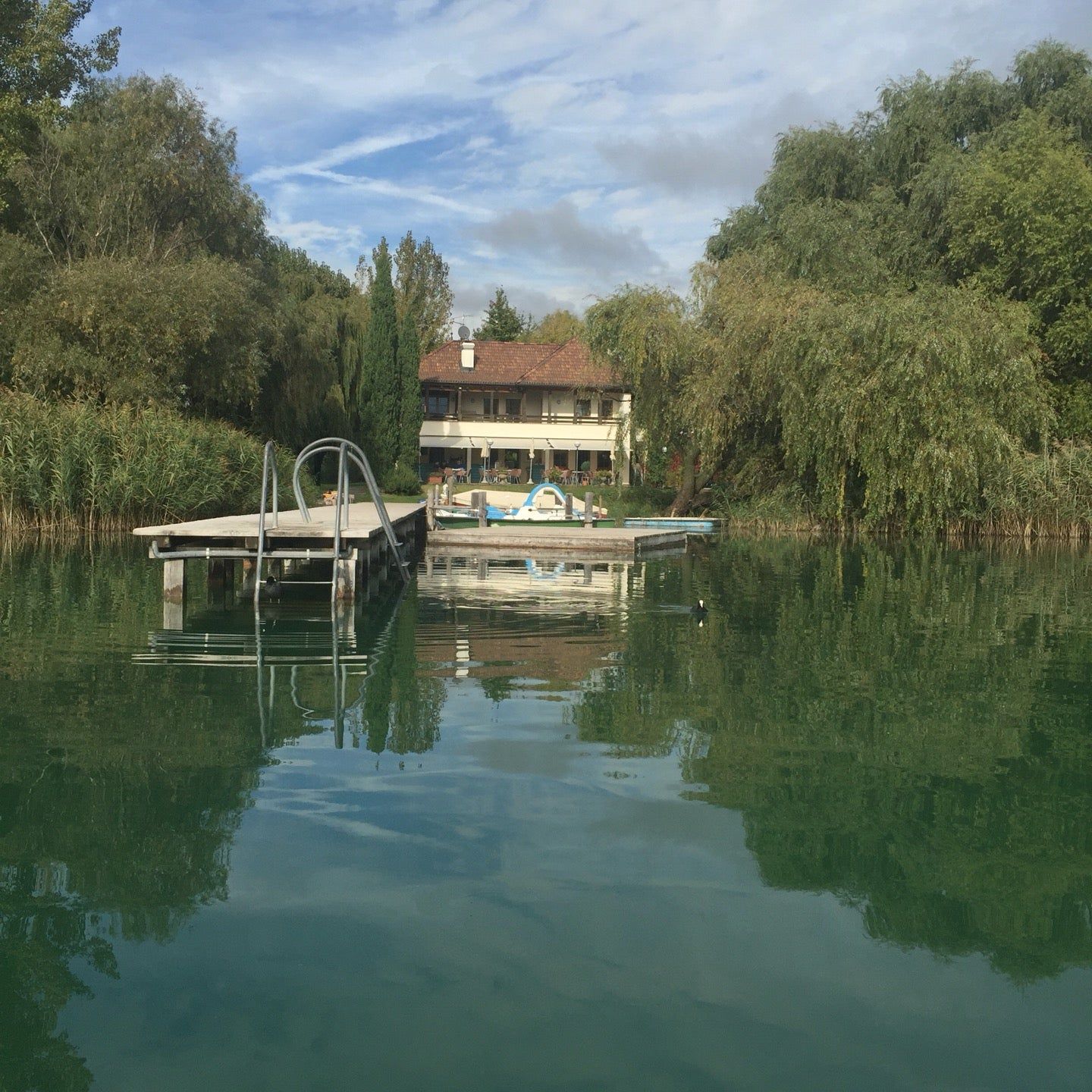 
Geier
 in Lake Caldaro