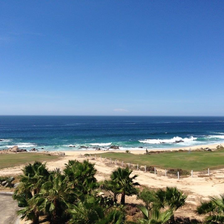 
Girasoles
 in Los Cabos