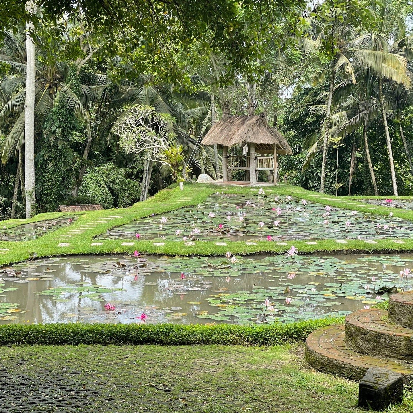 
GreenKubu Cafe
 in Tegalalang