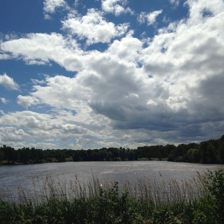 
Großer Schillerteich
 in Wolfsburg