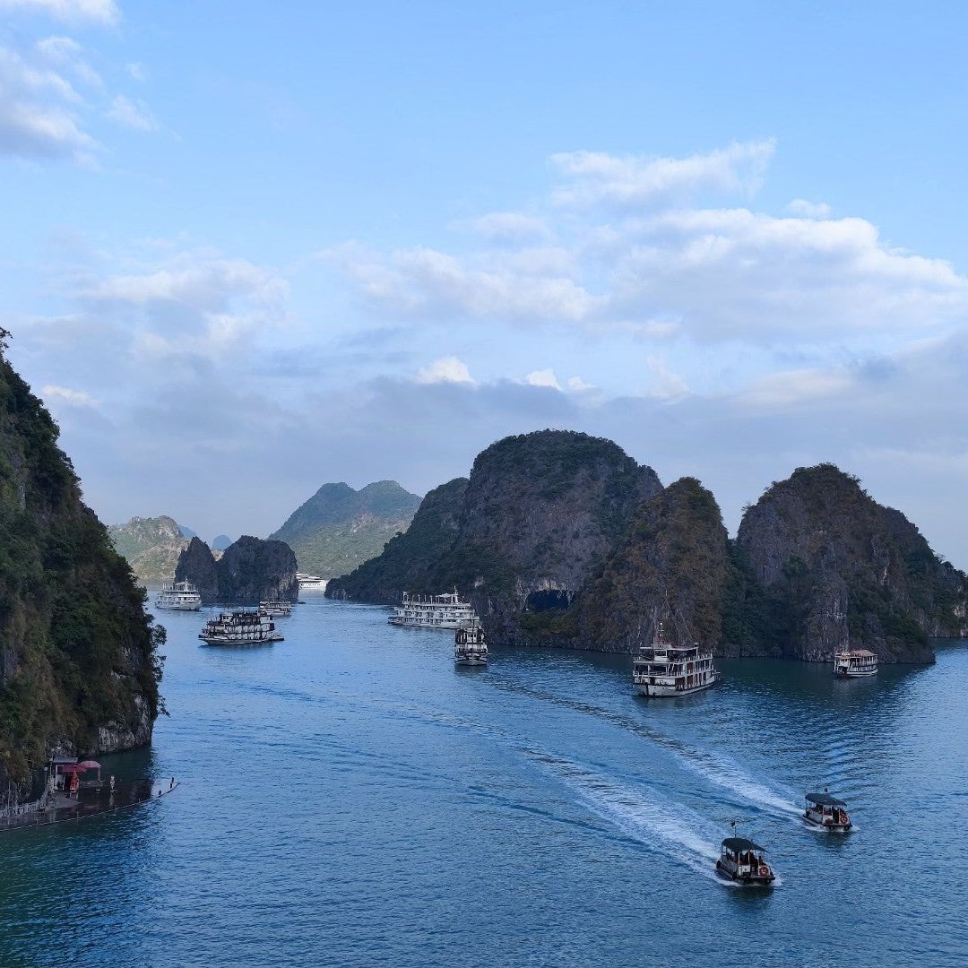 
Ha Long Bay
 in Quang Ninh