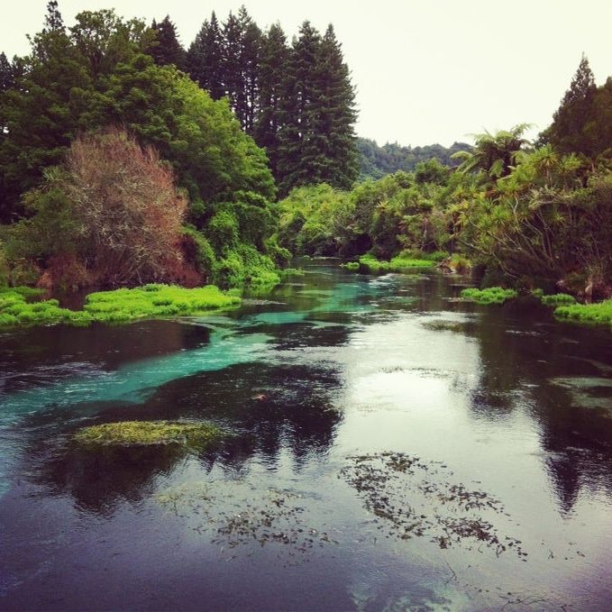 
Hamurana Springs Reserve
 in Rotorua