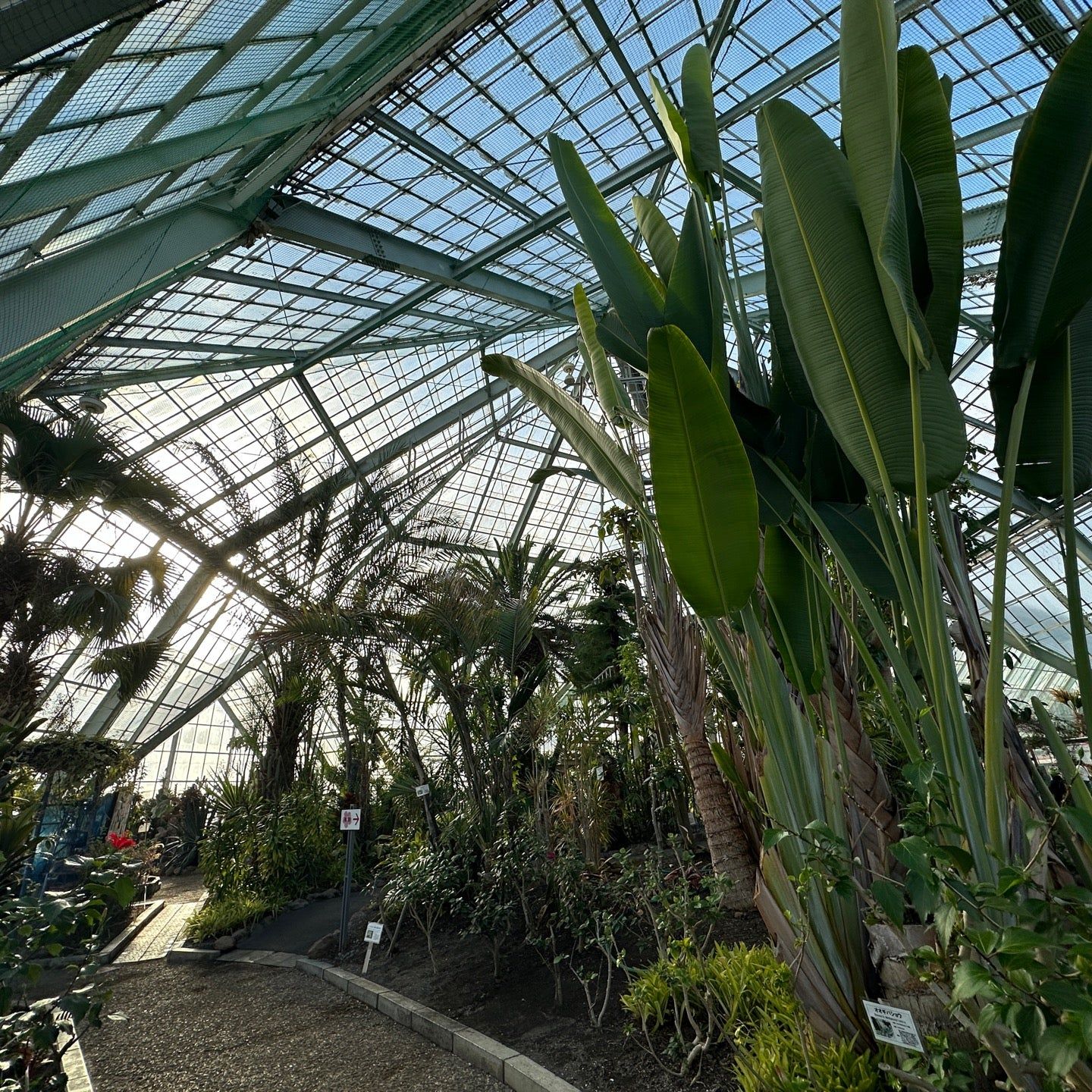 
函館市営熱帯植物園
 in Hakodate, Onuma, Okushiri