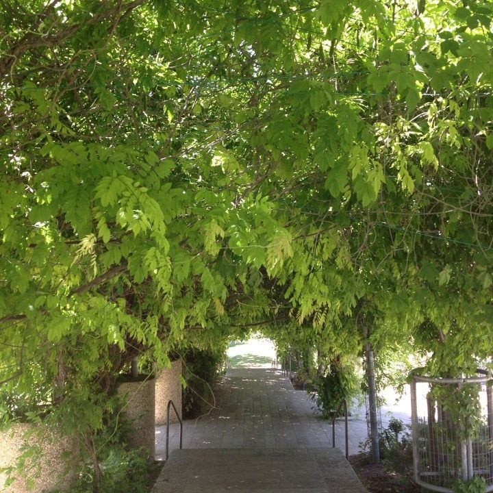 
HaPa'amon Garden
 in Jerusalem