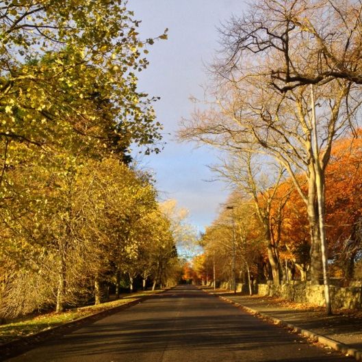 
Hazlehead Park
 in Aberdeen