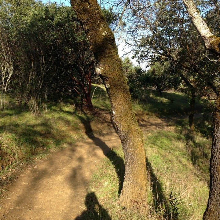 
Healdsburg Ridge Open Space Preserve
 in Healdsburg