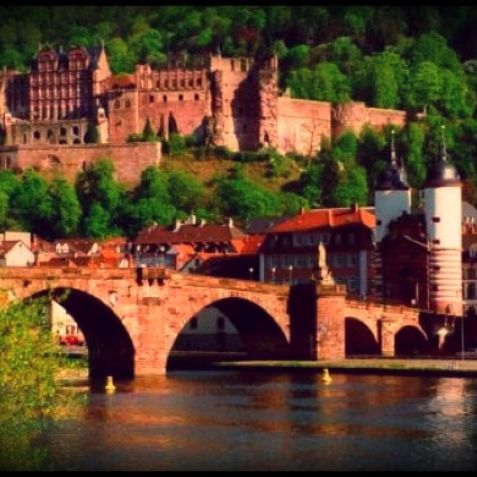 
Heidelberger Schloss
 in Heidelberg