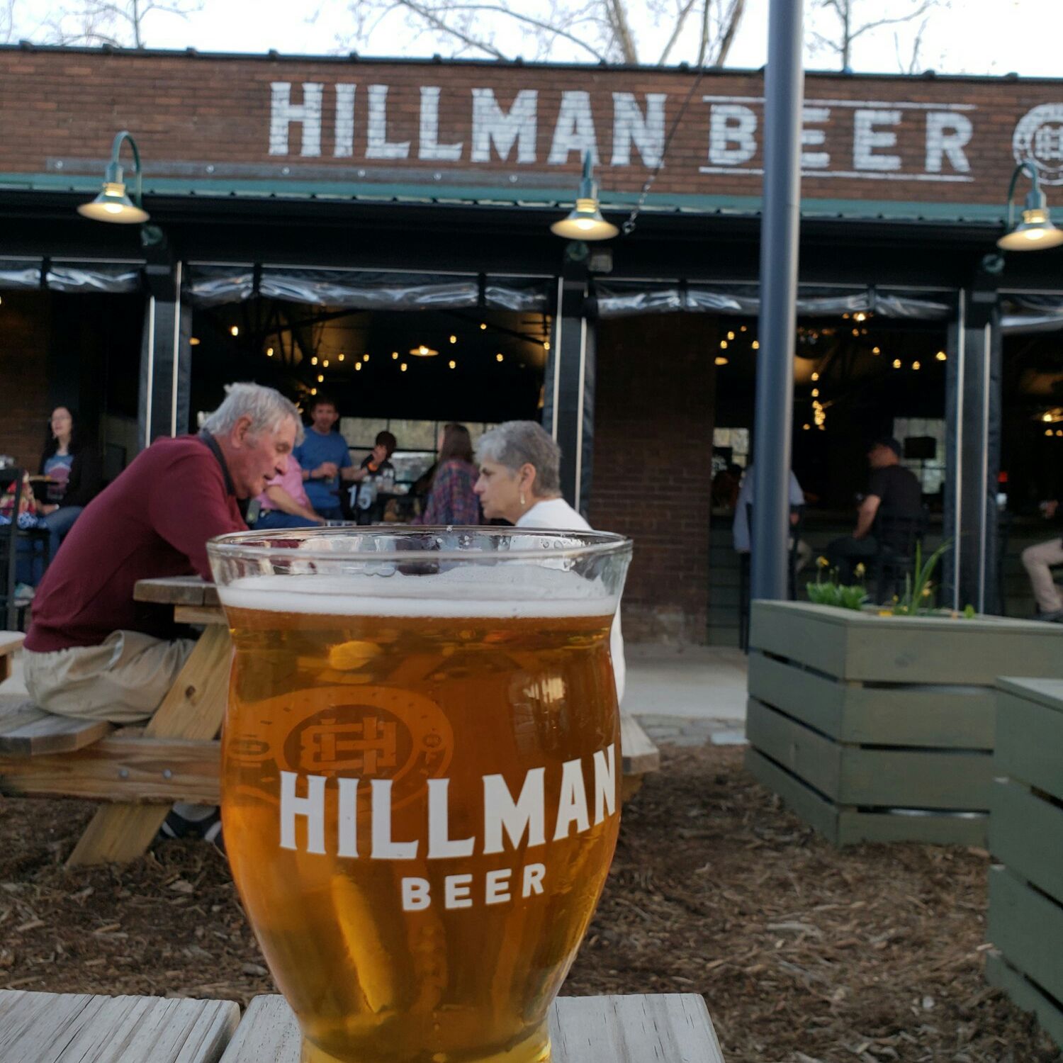 
Hillman Beer
 in Asheville