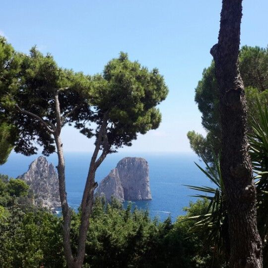 
Il Geranio
 in Capri Island