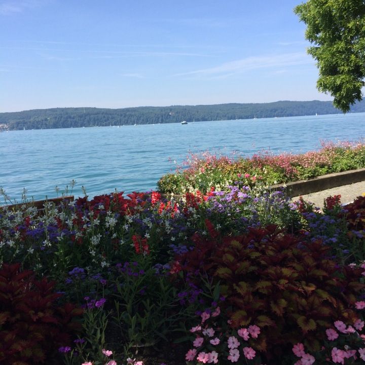 
Incontro
 in Lake Constance Cycle Path