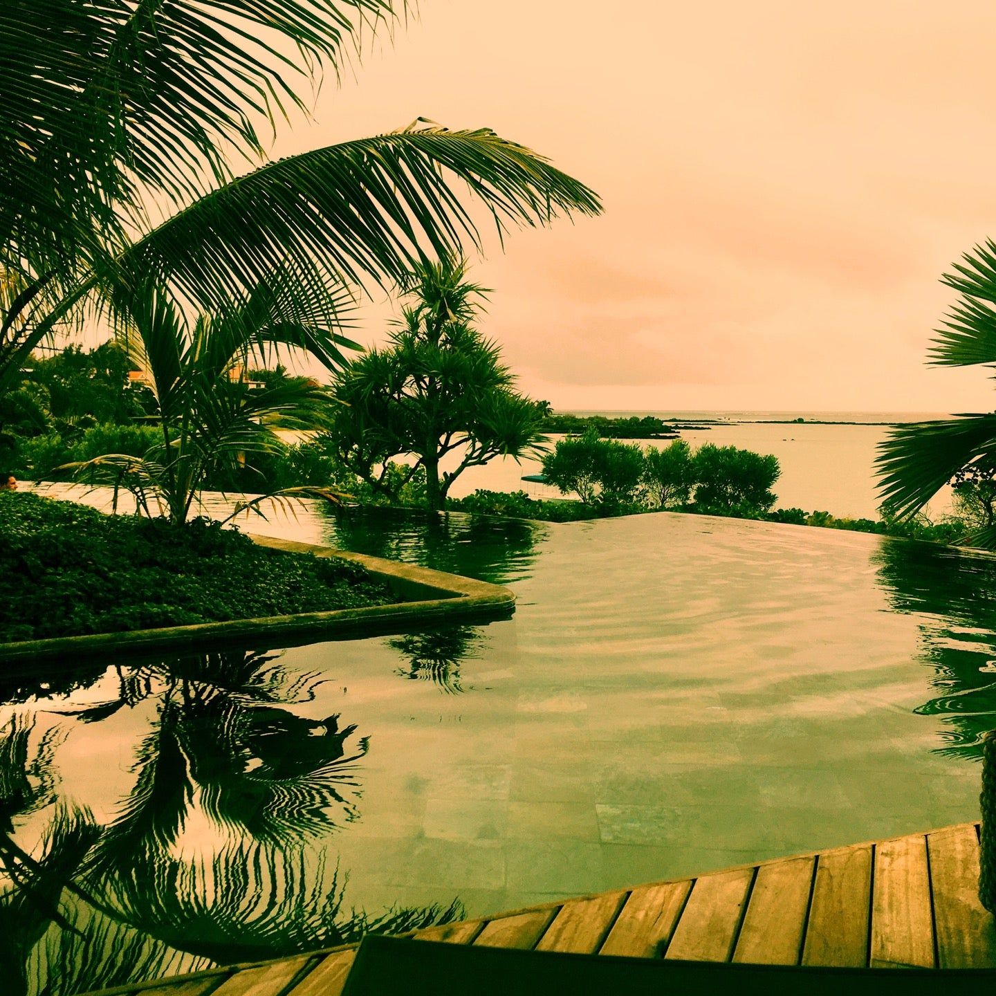 
Indigo
 in Mauritius North Coast