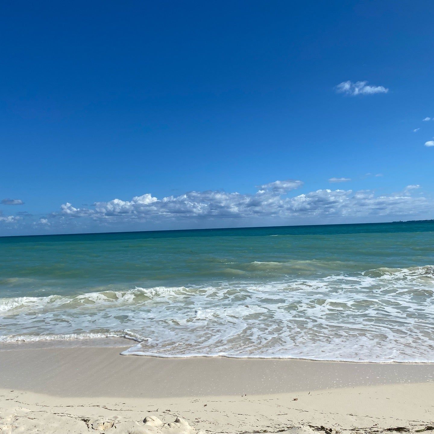 
Isla Blanca
 in Cancún